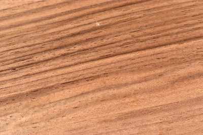 Blank Walnut 330x117x60mm - NusBM1196