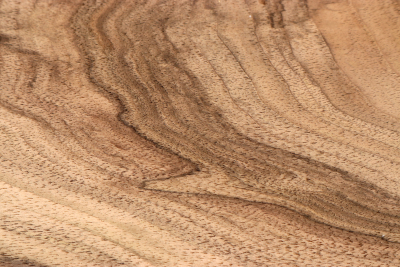 Blank Walnut 340x145x43mm - NusBM1258