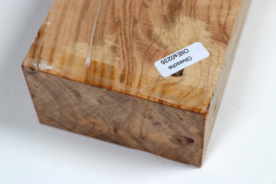 Abschnitt Olivesche 340x88x53mm - OliEs0235