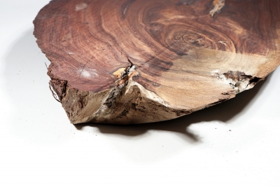 Eastindian Rosewood 540x360x60mm - Osin0013