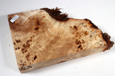 Poplar Burl 270x150x65mm- PapM0314