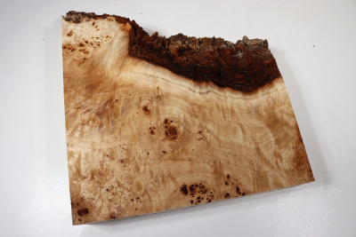 Poplar Burl 310x280x65mm- PapM0335
