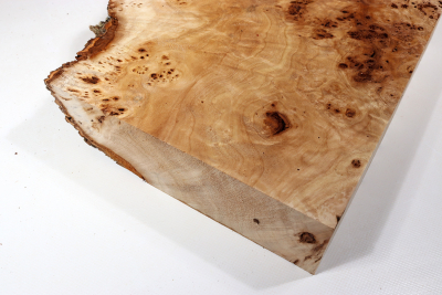 Poplar Burl 310x280x65mm- PapM0335