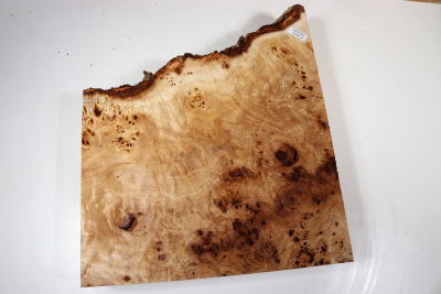 Poplar Burl 310x280x65mm- PapM0335