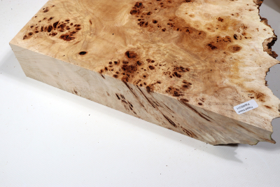 Abschnitt Pappel Maser 320x260x65mm- PapM0311