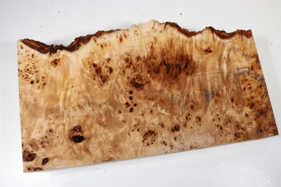 Abschnitt Pappel Maser 355x190x65mm- PapM0336