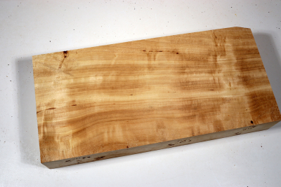 Abschnitt Pappel Maser 400x190x65mm- PapM0313