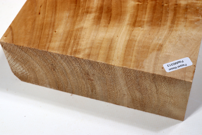 Abschnitt Pappel Maser 400x190x65mm- PapM0313