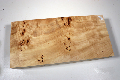 Abschnitt Pappel Maser 400x190x65mm- PapM0313