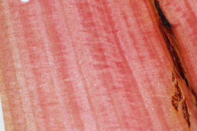 Block Pink Ivory 145x135x72mm - PinIv0212