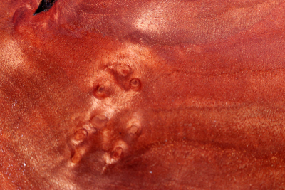 Red Resin Burl 150x95x28mm - RedRe0308