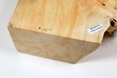 Abschnitt Rosskastanie Maser 240x230x73mm - Roka0489
