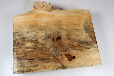 Horse Chestnut Burl 285x240x75mm - Roka0494