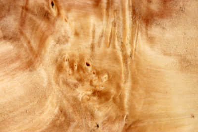 Horse Chestnut Burl 285x240x75mm - Roka0494