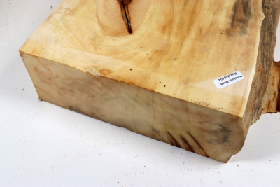 Horse Chestnut Burl 285x240x75mm - Roka0494