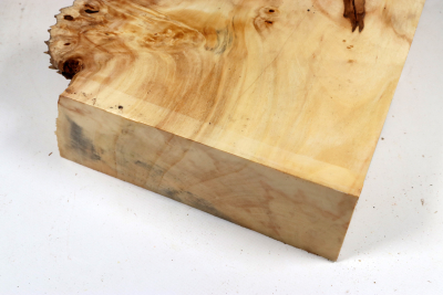Horse Chestnut Burl 285x240x75mm - Roka0494