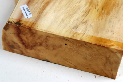 Abschnitt Rosskastanie Maser 290x190x70mm - Roka0503