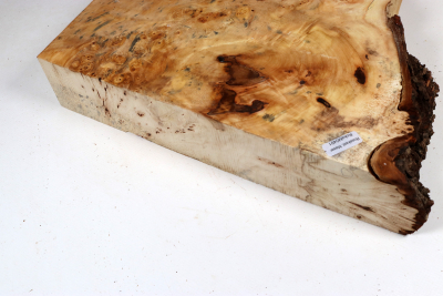 Abschnitt Rosskastanie Maser 300x270x58mm - Roka0491