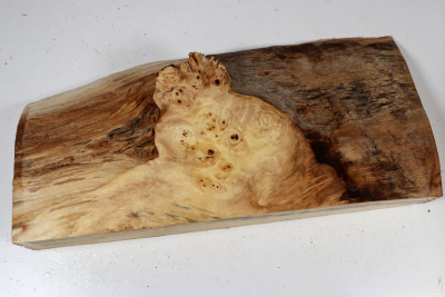 Horse Chestnut Burl 325x150x60mm - Roka0487