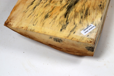 Horse Chestnut Burl 325x150x60mm - Roka0487