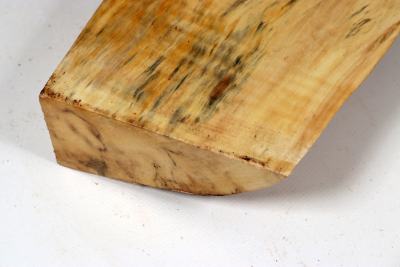 Horse Chestnut Burl 325x150x60mm - Roka0487