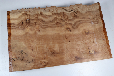 Elm Burl 440x270x50mm - RuesM0659