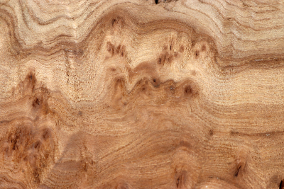 Elm Burl 440x270x50mm - RuesM0659