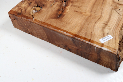 Elm Burl 440x270x50mm - RuesM0659