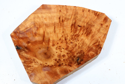 Abschnitt Thuja Maser 235x175x44mm - ThujM1012