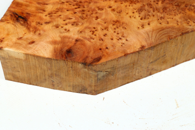 Abschnitt Thuja Maser 235x175x44mm - ThujM1012