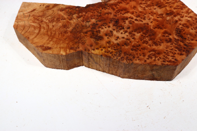 Abschnitt Thuja Maser 280x280x44mm - ThujM1013