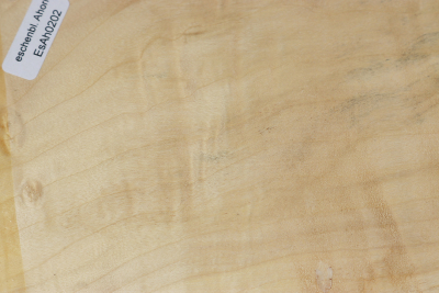 Box Elder Maple Burl 360x120x48mm - EsAh0202