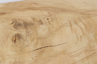 Box Elder Maple Burl 360x90x38mm - EsAh0203