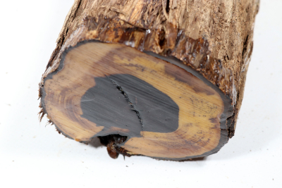 Astabschnitt Grenadill 215x95mm - Gren0545