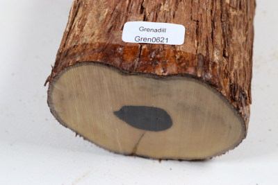 Astabschnitt Grenadill 230x85mm - Gren0621