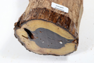 Astabschnitt Grenadill 240x95mm - Gren0552