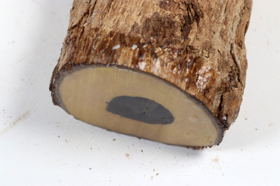 African Blackwood 260x80mm - Gren0623