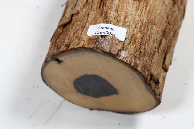African Blackwood 260x80mm - Gren0623