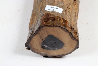 African Blackwood 410x75mm - Gren0617
