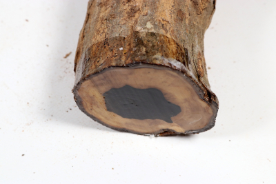 African Blackwood 410x75mm - Gren0617
