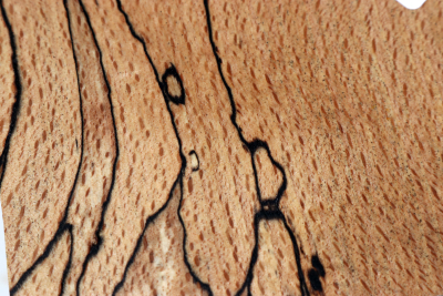Block Beech spalted stabilized 86x77x60mm - Stabi3846