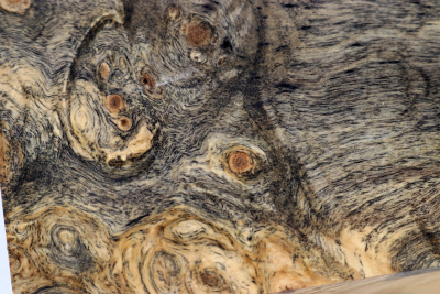 Block Buckeye Burl stabilized 128x73x53mm - Stabi3833