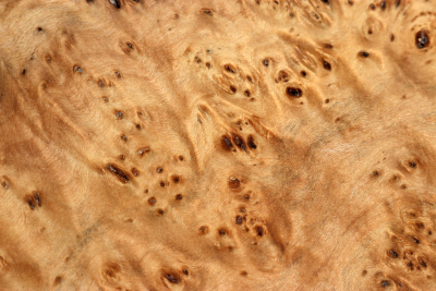 Square Linden Tree Burl stabilized 96x84x51mm - Stabi3848