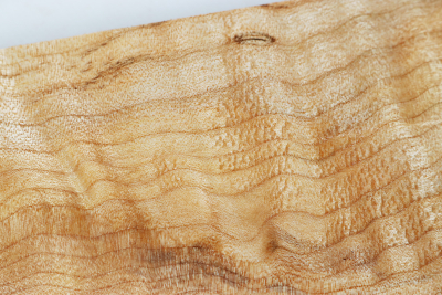 Brett Muschelahorn 265x90x35mm - Ahorn0375