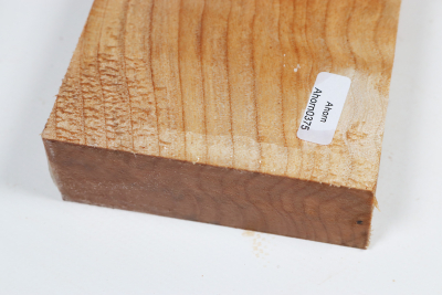 Brett Muschelahorn 265x90x35mm - Ahorn0375