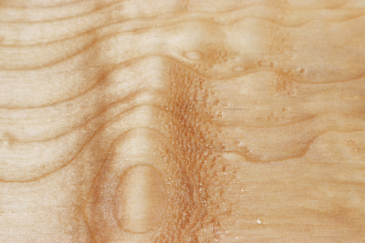 Brett Muschelahorn 395x140x37mm - Ahorn0368