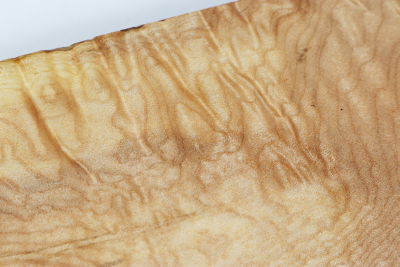 Brett Muschelahorn schlicht 415x80x38mm - Ahorn0365