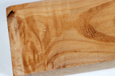 Brett Muschelahorn schlicht 420x55x34mm - Ahorn0382