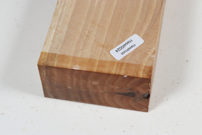 Brettabschnitt Baumhasel 290x80x43mm - Hasel0024