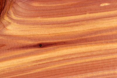 Brettabschnitt Florida-Zeder 320x135x50mm - Zed0381